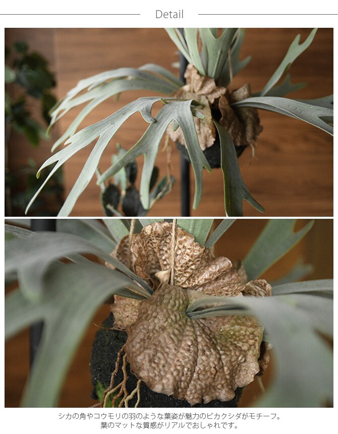 Brown. ブラウン フェイクグリーン ビカクシダ ハンギングボール 46