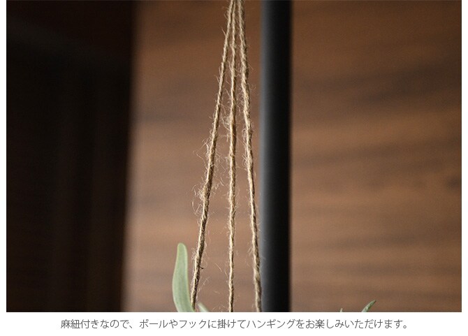 Brown. ブラウン フェイクグリーン ビカクシダ ハンギングボール 46