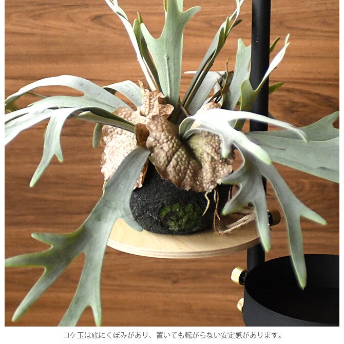 Brown. ブラウン フェイクグリーン ビカクシダ ハンギングボール 46