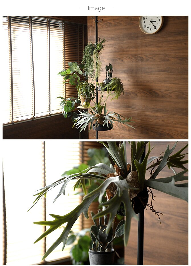 Brown. ブラウン フェイクグリーン ビカクシダ ハンギングボール 46