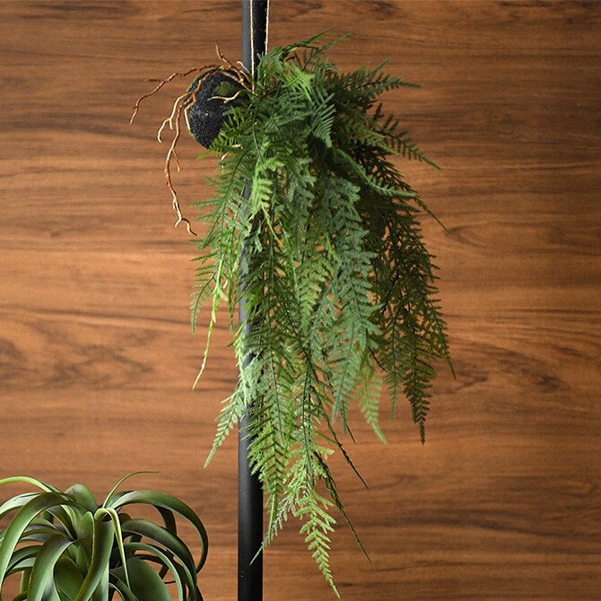 Brown. ブラウン フェイクグリーン ファーン ハンギングボール 53