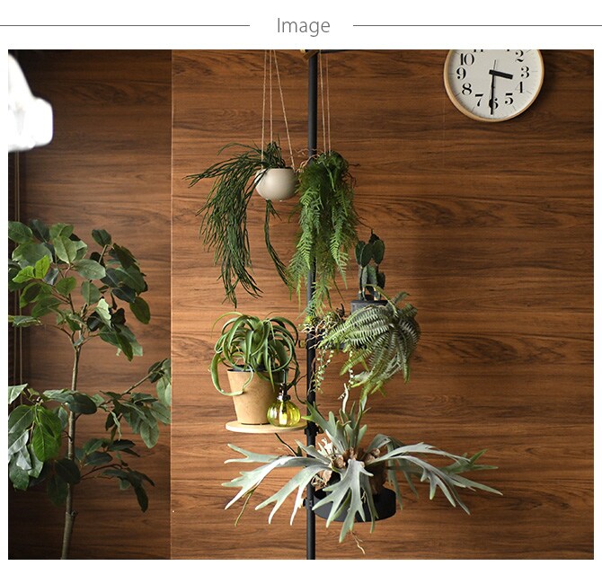 Brown. ブラウン フェイクグリーン ファーン ハンギングボール 53