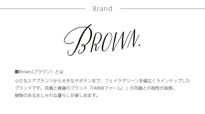 Brown. ブラウン フェイクグリーン ファーン ハンギングボール 53