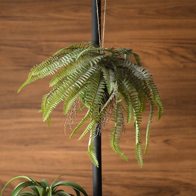 Brown. ブラウン フェイクグリーン ボストンファーン ハンギングボール 30