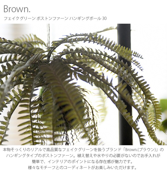 Brown. ブラウン フェイクグリーン ボストンファーン ハンギングボール 30