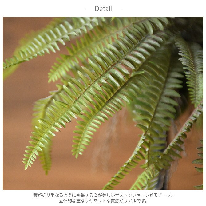 Brown. ブラウン フェイクグリーン ボストンファーン ハンギングボール 30