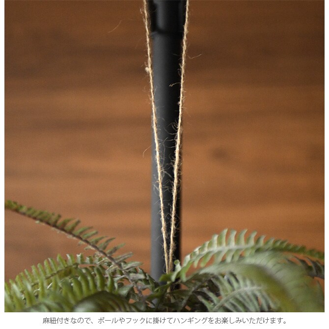 Brown. ブラウン フェイクグリーン ボストンファーン ハンギングボール 30