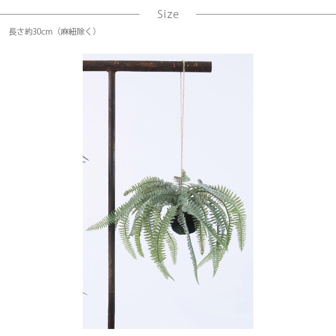 Brown. ブラウン フェイクグリーン ボストンファーン ハンギングボール 30