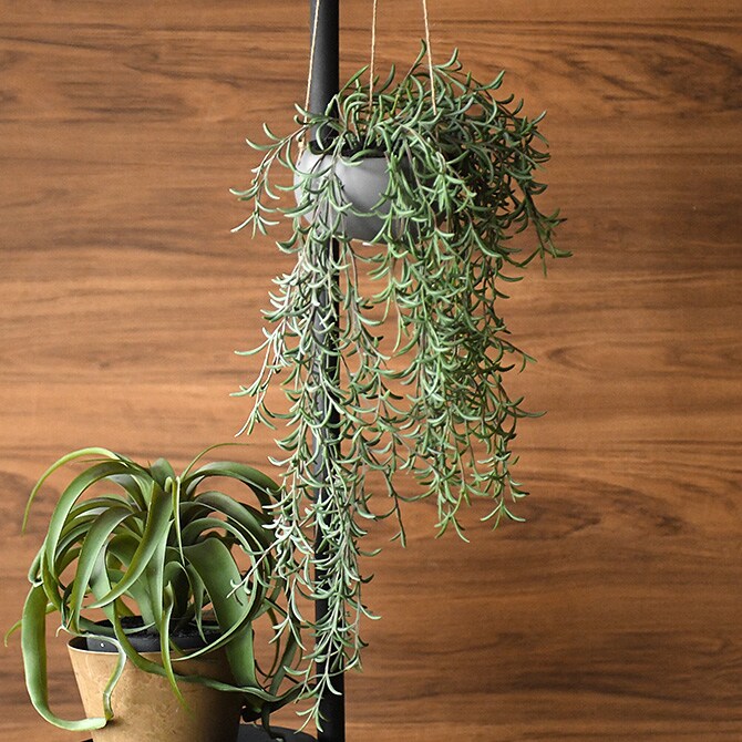 Brown. ブラウン フェイクグリーン ホヤ ハンギングポット