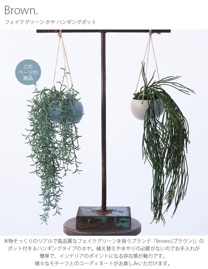 Brown. ブラウン フェイクグリーン ホヤ ハンギングポット