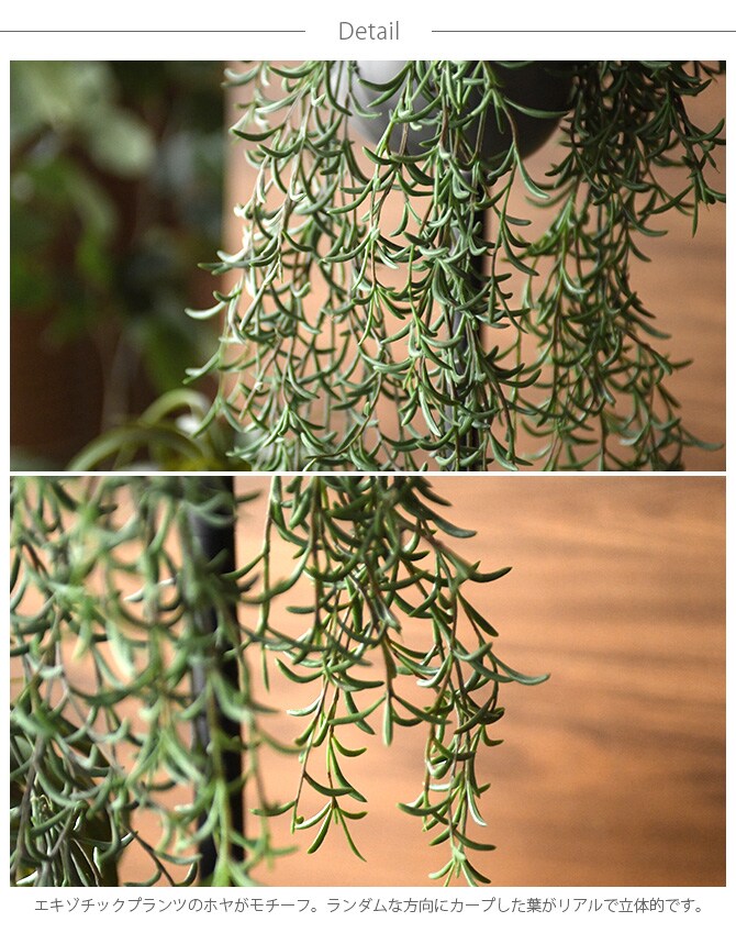 Brown. ブラウン フェイクグリーン ホヤ ハンギングポット