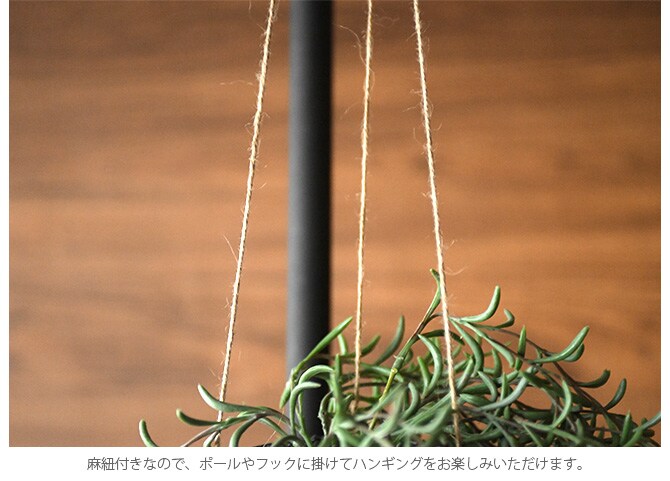 Brown. ブラウン フェイクグリーン ホヤ ハンギングポット