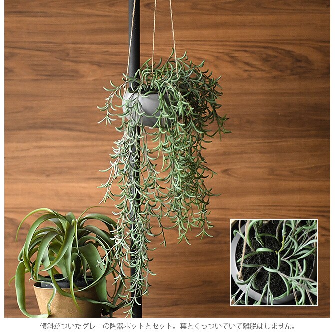 Brown. ブラウン フェイクグリーン ホヤ ハンギングポット
