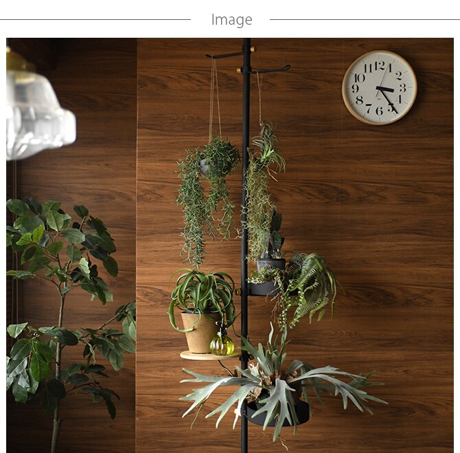 Brown. ブラウン フェイクグリーン ホヤ ハンギングポット