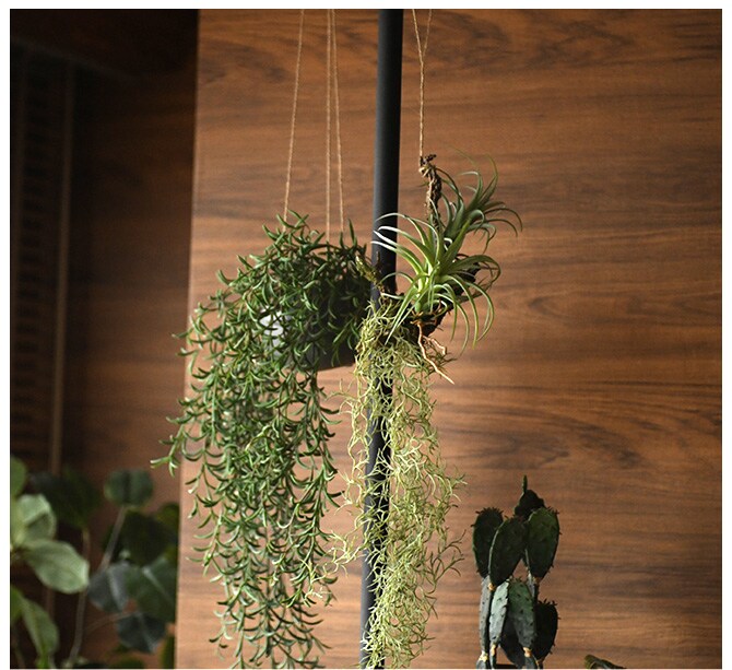 Brown. ブラウン フェイクグリーン ホヤ ハンギングポット