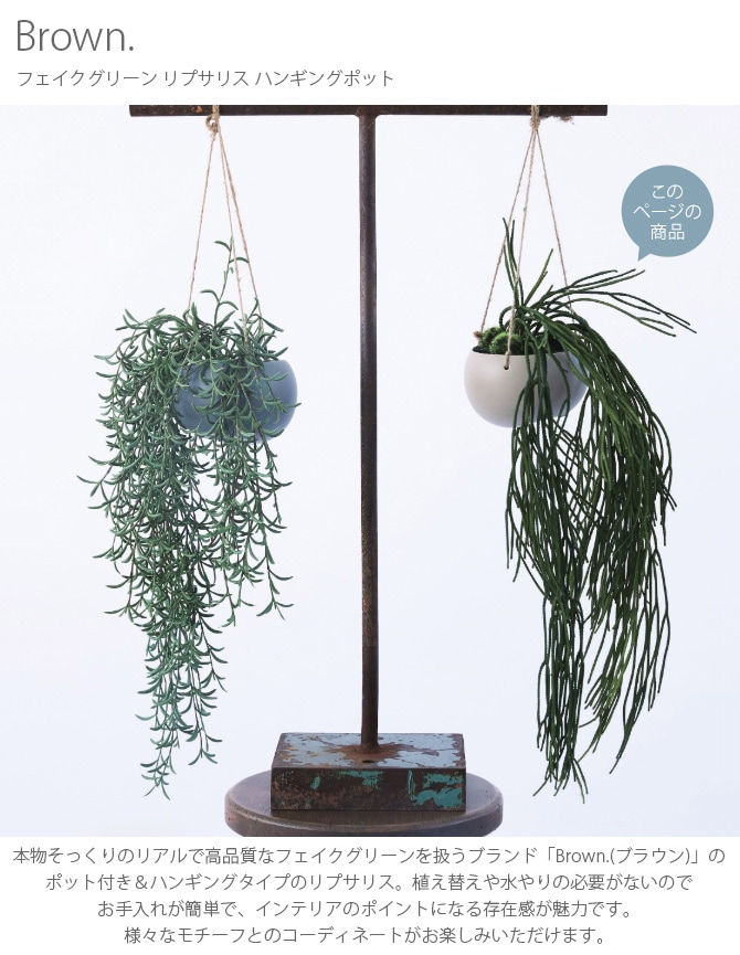 Brown. ブラウン フェイクグリーン リプサリス ハンギングポット