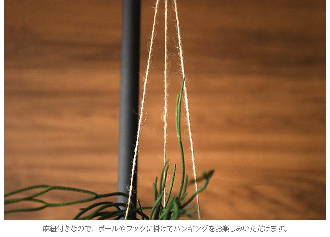 Brown. ブラウン フェイクグリーン リプサリス ハンギングポット