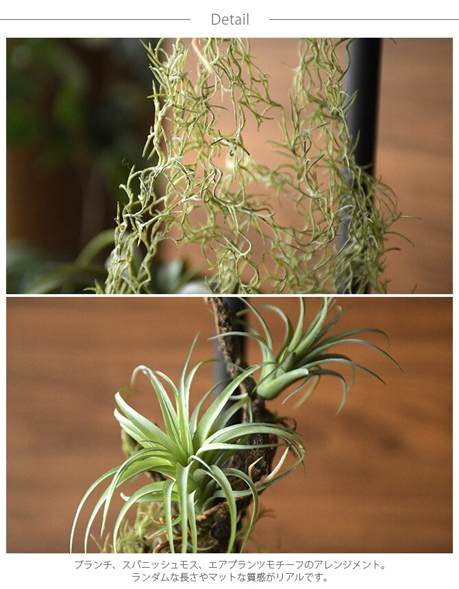 Brown. ブラウン フェイクグリーン アレンジメント 着生 64