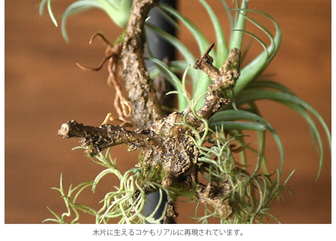 Brown. ブラウン フェイクグリーン アレンジメント 着生 64