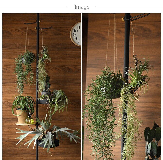 Brown. ブラウン フェイクグリーン アレンジメント 着生 64