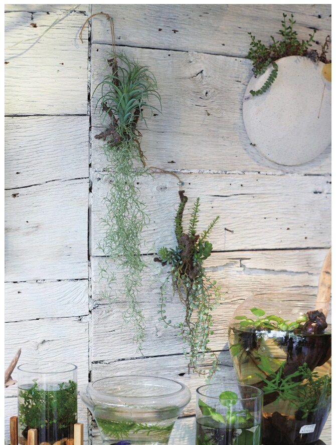 Brown. ブラウン フェイクグリーン アレンジメント 着生 64