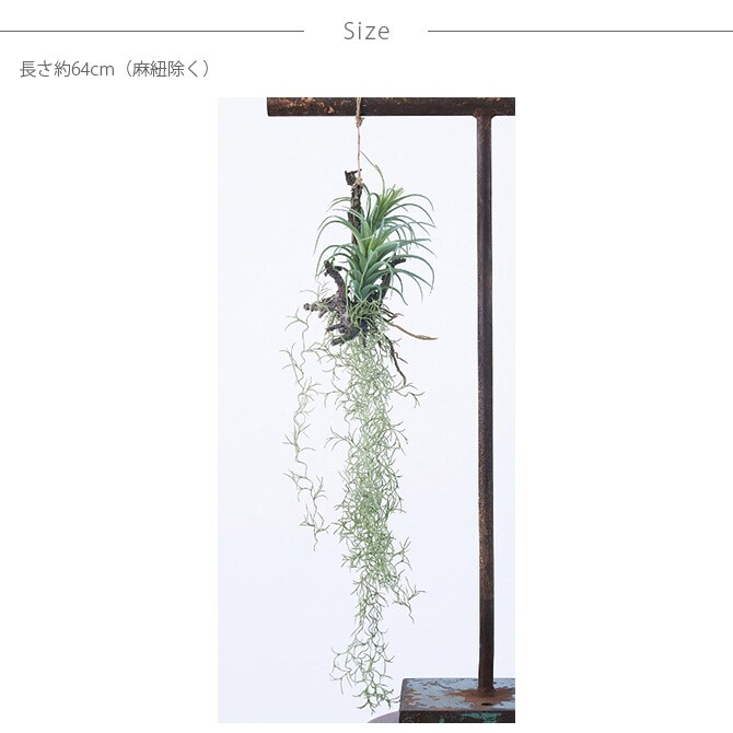 Brown. ブラウン フェイクグリーン アレンジメント 着生 64