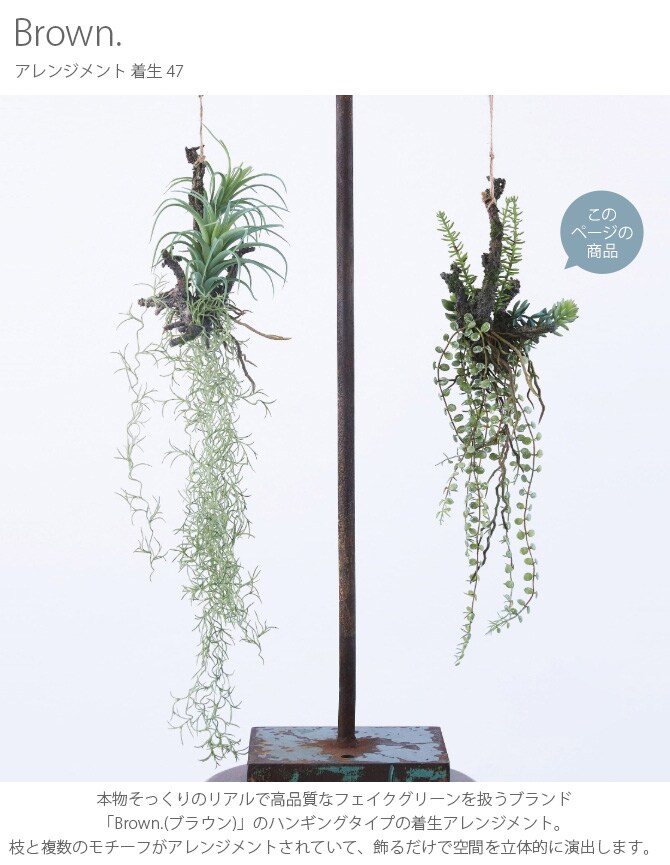 Brown. ブラウン アレンジメント 着生 47