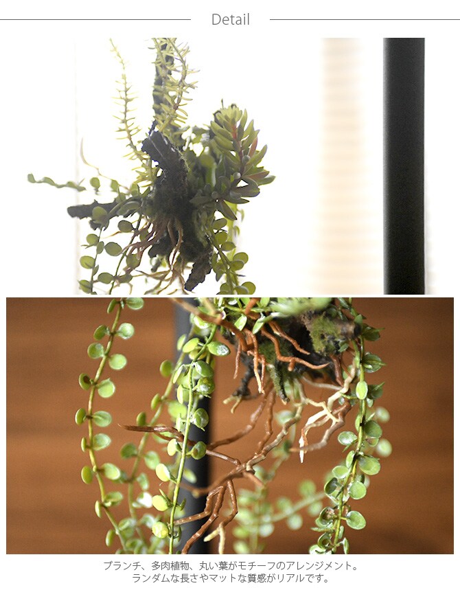 Brown. ブラウン アレンジメント 着生 47