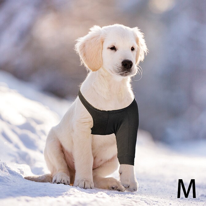 Suitical スーティカル リカバリー・スリーブ M 犬 サポーター 保護服 前脚用 皮膚疾患 エリザベスカラー 犬の服 伸縮