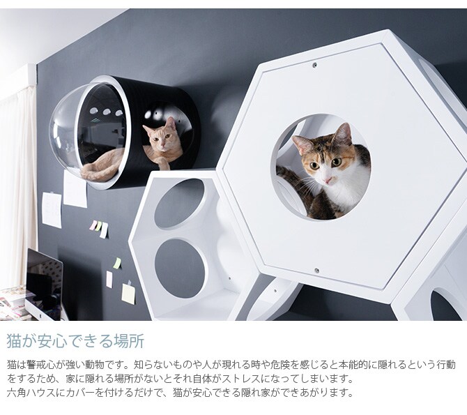 MYZOO マイズー Busy Cat専用 Cover Plate カバープレート ホワイト 猫 ハウス スツール 六角 木製 白 シンプル 椅子 腰掛け 北欧