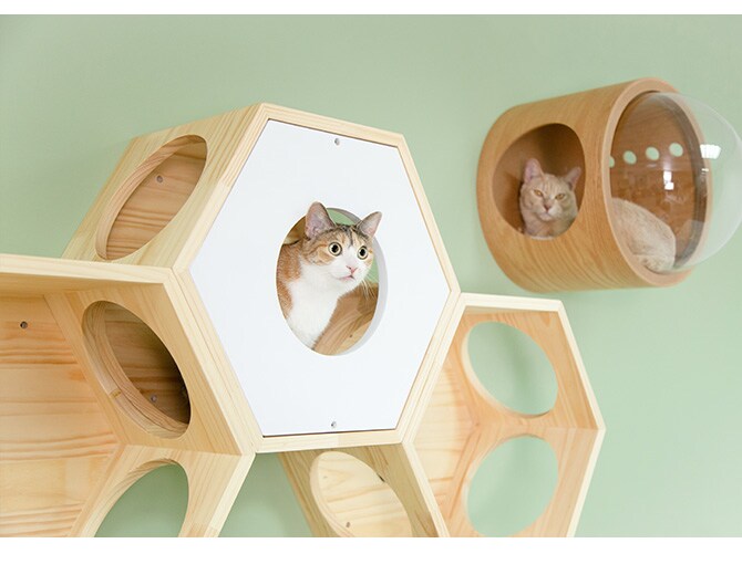 MYZOO マイズー Busy Cat専用 Cover Plate カバープレート ホワイト 猫 ハウス スツール 六角 木製 白 シンプル 椅子 腰掛け 北欧