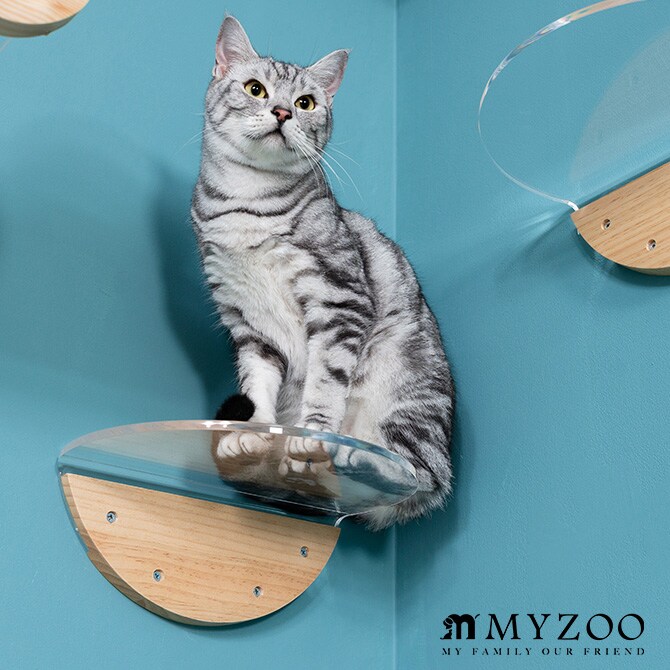 MYZOO マイズー Round Lack ラウンドラック クリア 猫 キャットステップ キャットウォーク 壁付け 壁掛け 透明 シンプル 丸形 円形 北欧