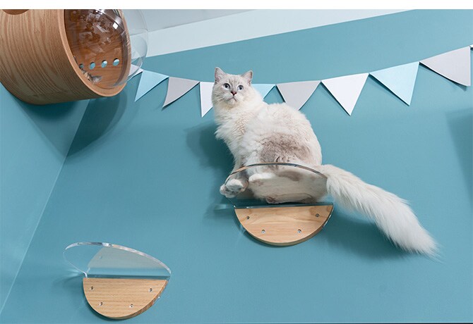 MYZOO マイズー Round Lack ラウンドラック クリア 猫 キャットステップ キャットウォーク 壁付け 壁掛け 透明 シンプル 丸形 円形 北欧