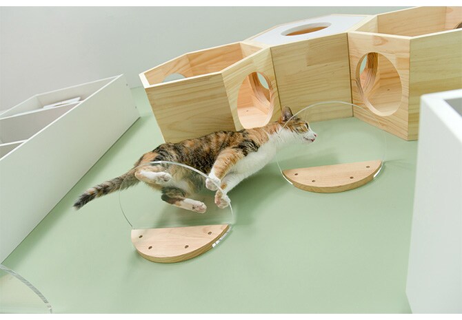 MYZOO マイズー Round Lack ラウンドラック クリア 猫 キャットステップ キャットウォーク 壁付け 壁掛け 透明 シンプル 丸形 円形 北欧