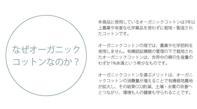 FAD ファッド オーガニック・ペットベッド L  犬用 猫用 ペット ベッド  