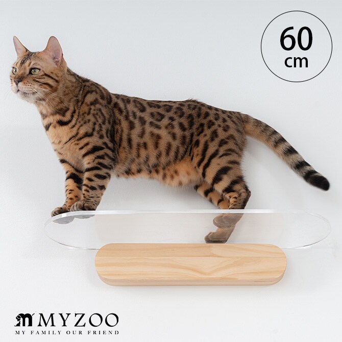 MYZOO マイズー OBLONG 透明キャットステップ 60cm 猫用 キャットステップ キャットウォーク 壁付け 壁掛け クリア アクリル 猫用家具 キャットタワー 北欧