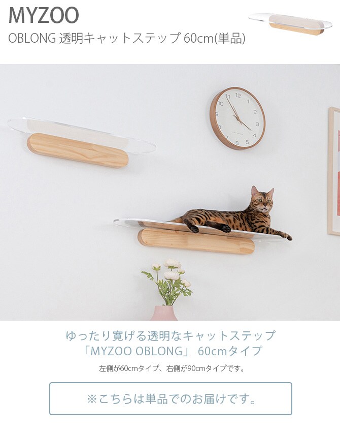 MYZOO マイズー OBLONG 透明キャットステップ 60cm 猫用 キャットステップ キャットウォーク 壁付け 壁掛け クリア アクリル 猫用家具 キャットタワー 北欧