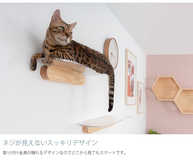 MYZOO マイズー OBLONG 透明キャットステップ 60cm 猫用 キャットステップ キャットウォーク 壁付け 壁掛け クリア アクリル 猫用家具 キャットタワー 北欧