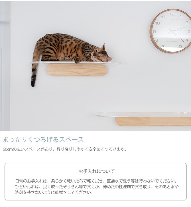 MYZOO マイズー OBLONG 透明キャットステップ 60cm 猫用 キャットステップ キャットウォーク 壁付け 壁掛け クリア アクリル 猫用家具 キャットタワー 北欧