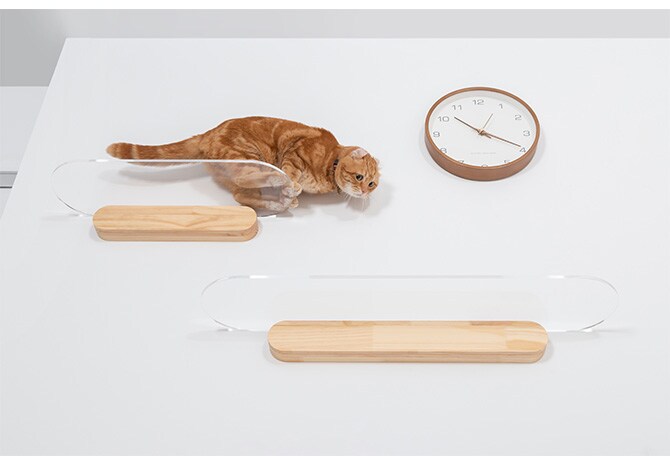 MYZOO マイズー OBLONG 透明キャットステップ 60cm 猫用 キャットステップ キャットウォーク 壁付け 壁掛け クリア アクリル 猫用家具 キャットタワー 北欧