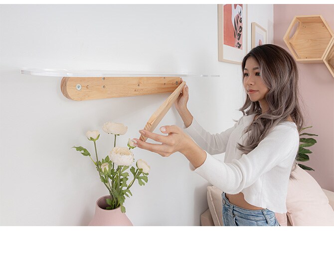 MYZOO マイズー OBLONG 透明キャットステップ 60cm 猫用 キャットステップ キャットウォーク 壁付け 壁掛け クリア アクリル 猫用家具 キャットタワー 北欧