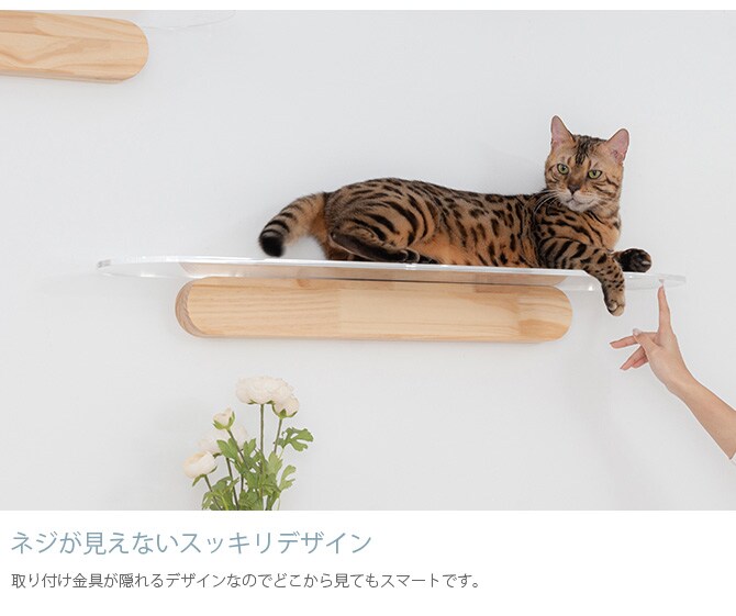 MYZOO マイズー OBLONG 透明キャットステップ 90cm 猫用 キャットステップ キャットウォーク 壁付け 壁掛け クリア アクリル 猫用家具 キャットタワー 北欧