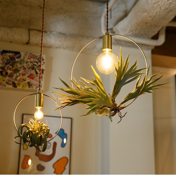 Another Garden アナザーガーデン ハンギングワイヤリングライト S 