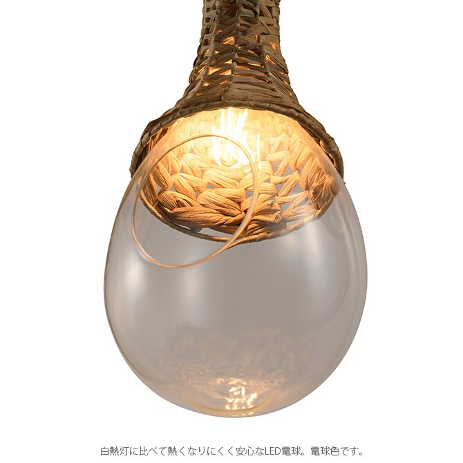 Another Garden アナザーガーデン ボタニックハンギング バスケットライト 