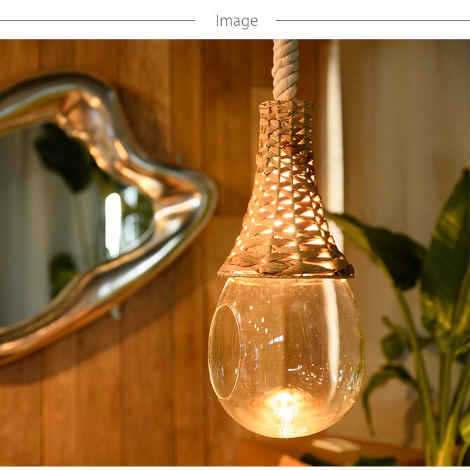 Another Garden アナザーガーデン ボタニックハンギング バスケットライト 