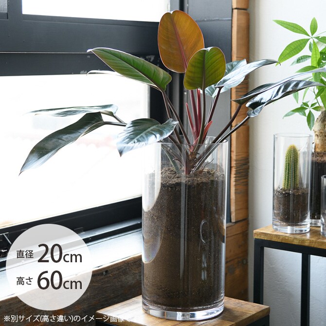 FOYER ホワイエ PVシリンダー 直径20cm×高さ60cm フラワーベース 花瓶 透明 大型 ポリカーボネート おしゃれ 北欧 容器 クリア 円筒