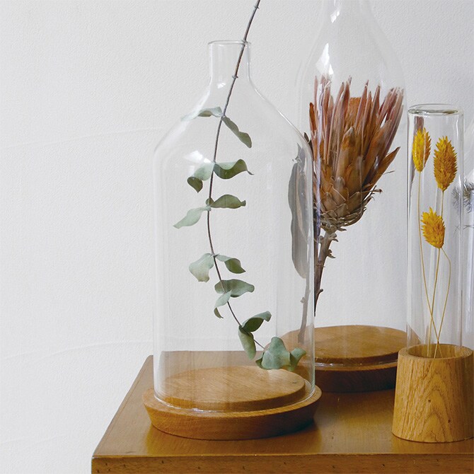 Horn Please ホーン プリーズ リューズガラス ディスプレイドーム シュミネ