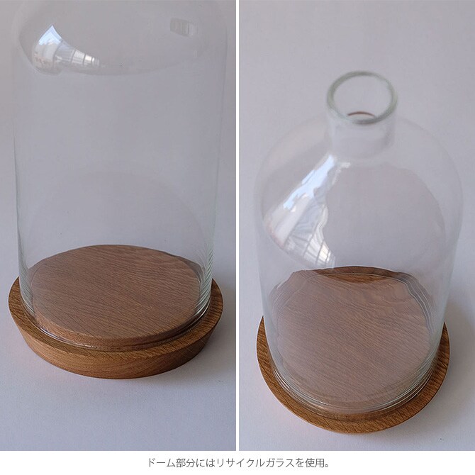 Horn Please ホーン プリーズ リューズガラス ディスプレイドーム シュミネ