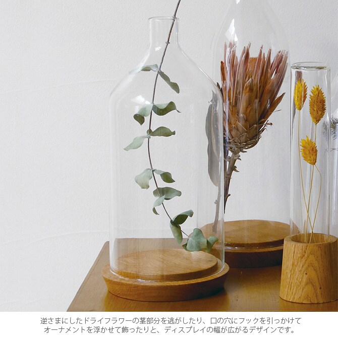 Horn Please ホーン プリーズ リューズガラス ディスプレイドーム シュミネ