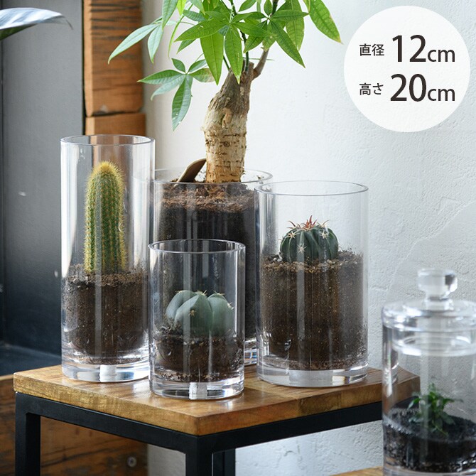 FOYER ホワイエ PVシリンダー 直径12cm×高さ20cm 